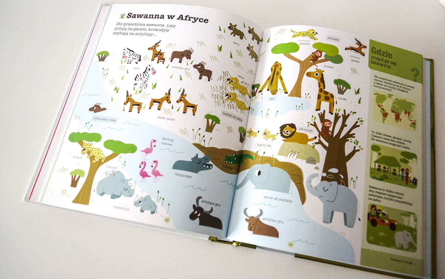 pierwsza encyklopedia, zwierzęta, książka dla dziecka, książki dla dzieci