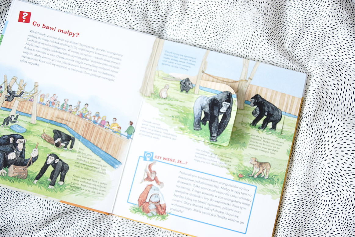 książki dla 3 i 4 latka przedszkolaka poznaje zwierzęta w zoo