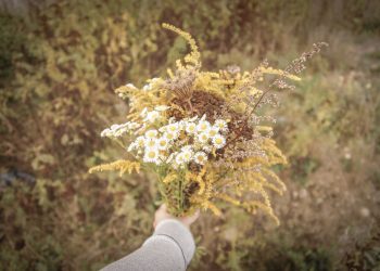 29 fajnych pomysłów na to, co warto zrobić jesienią – rodzinnie i dla samej siebie [+PDF]