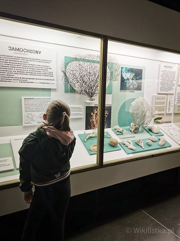 Atrakcje dla dzieci w Bieszczadach - Muzeum Przyrodnicze Bieszczadzkiego Parku Narodowego